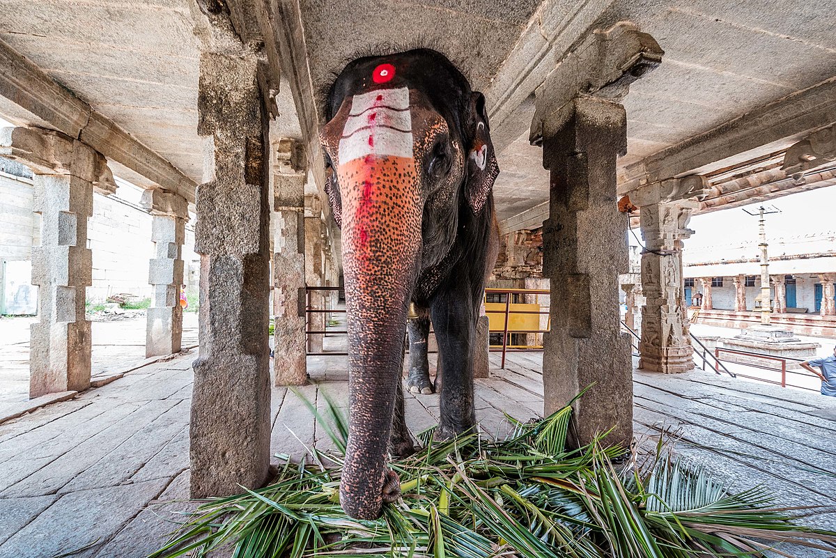  images/Sri Virupaksha Temple4.jpg